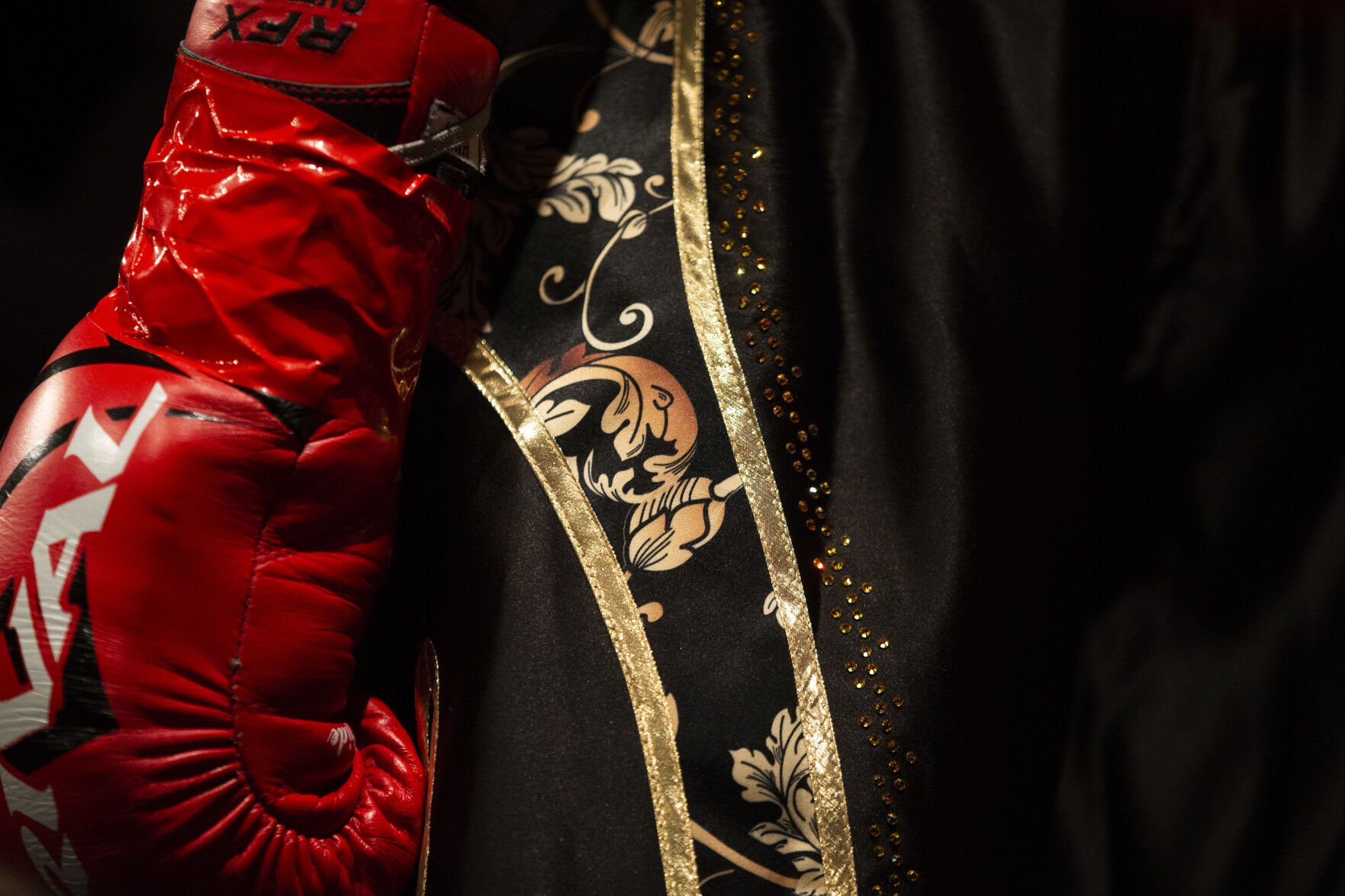 Roy Jones Championship Boxing